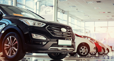 فلتر المعرض