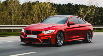 فلتر المعرض